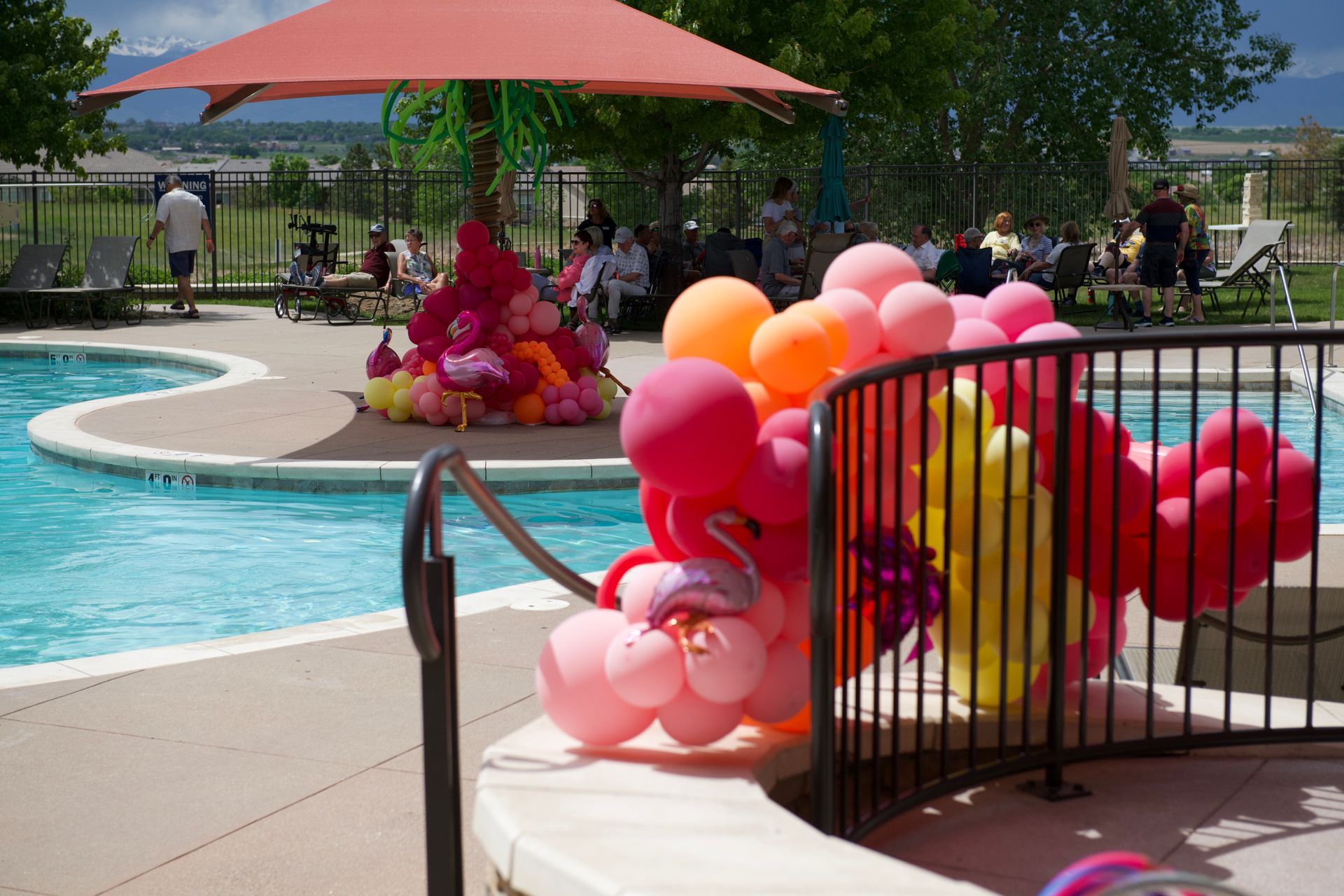 A bunch of balloons are sitting next to a pool.