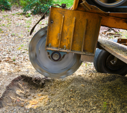 affordable stump removal Peoria Il