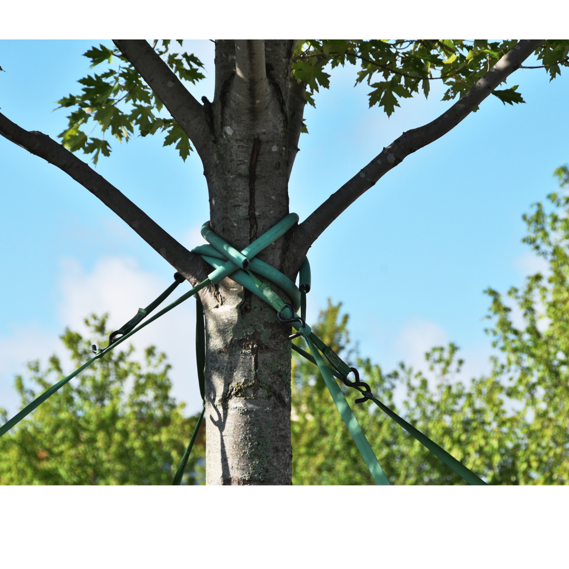affordable tree service peoria il