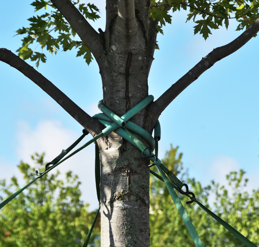 tree cable installers East Peoria Il