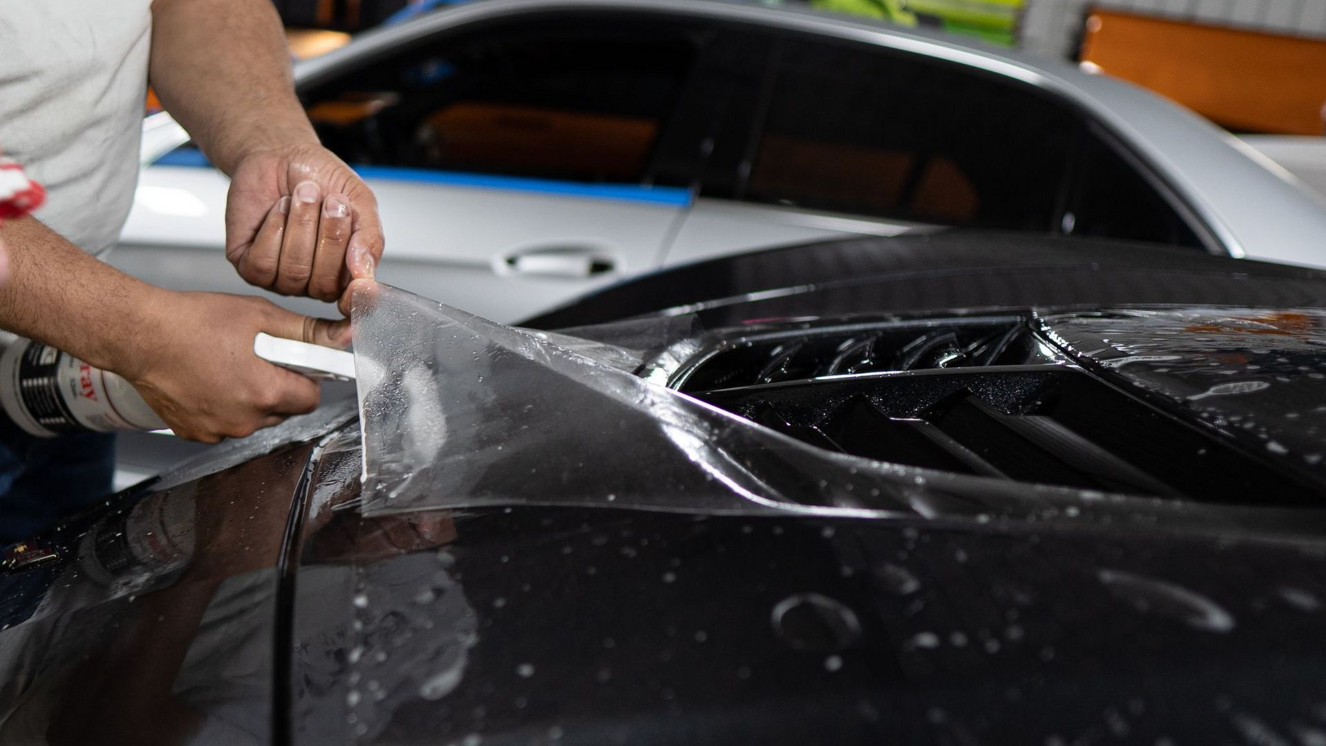 New car paint protection 