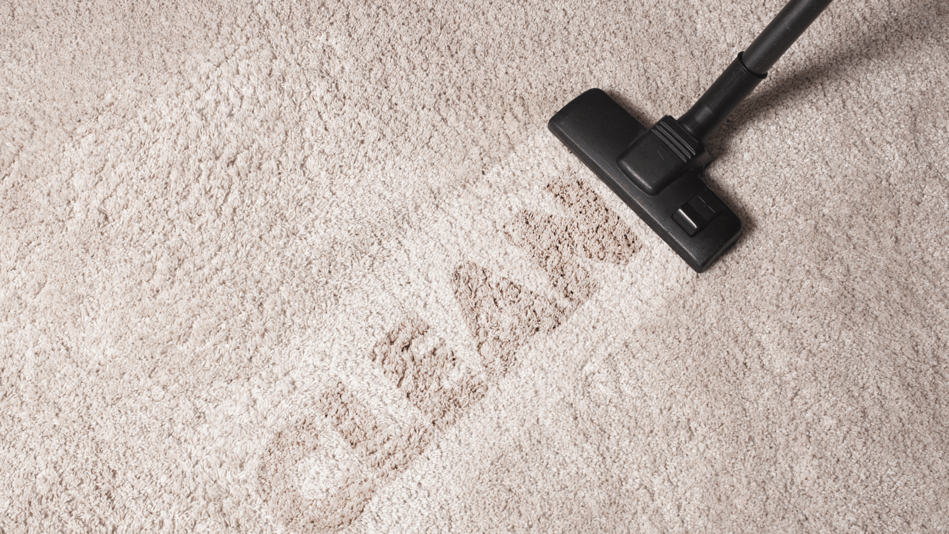 a vacuum cleaner is cleaning a carpet with the word clean written on it .