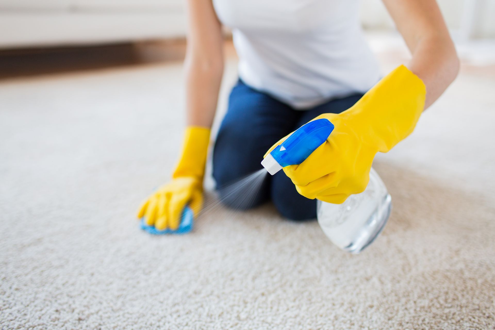 expert-carpet-cleaning-diy-tips-professional-solutions