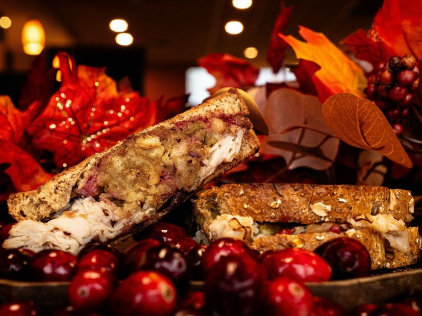 A person is holding a sandwich that has been cut in half.