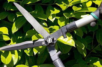 Garden tools