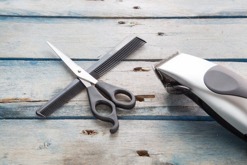 Scissors