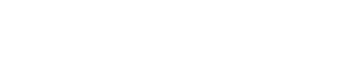 Horizontal white bar centered on a light gray background.