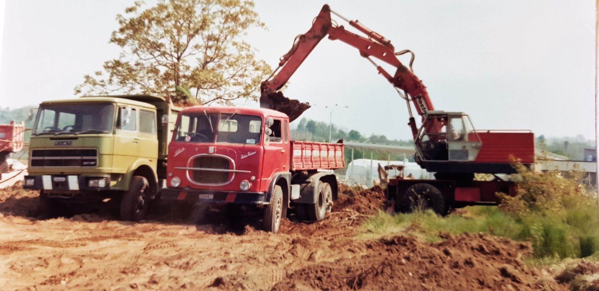 SAFES - 70 anni di esperienza