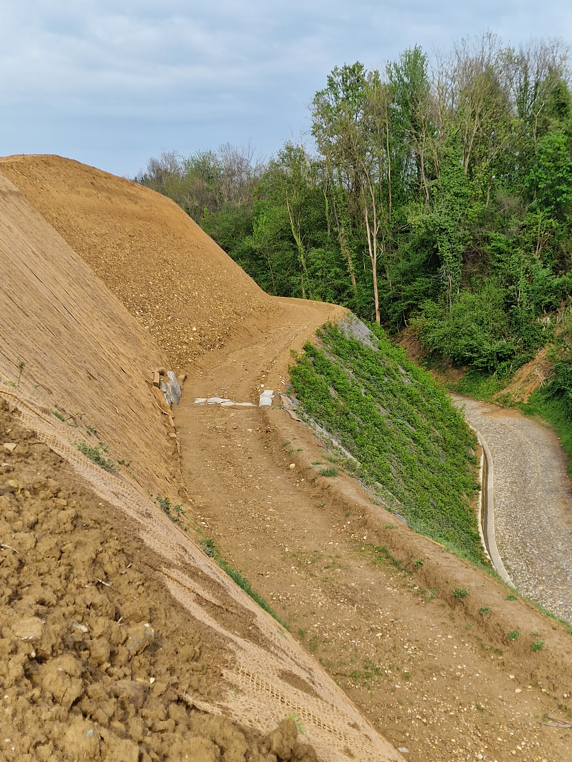 sistemazione di terreni agricoli a Romagnano Sesia