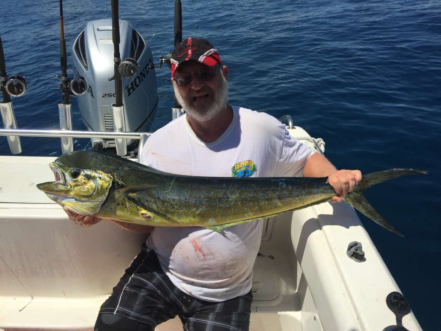 A man is holding a large fish on a boat.