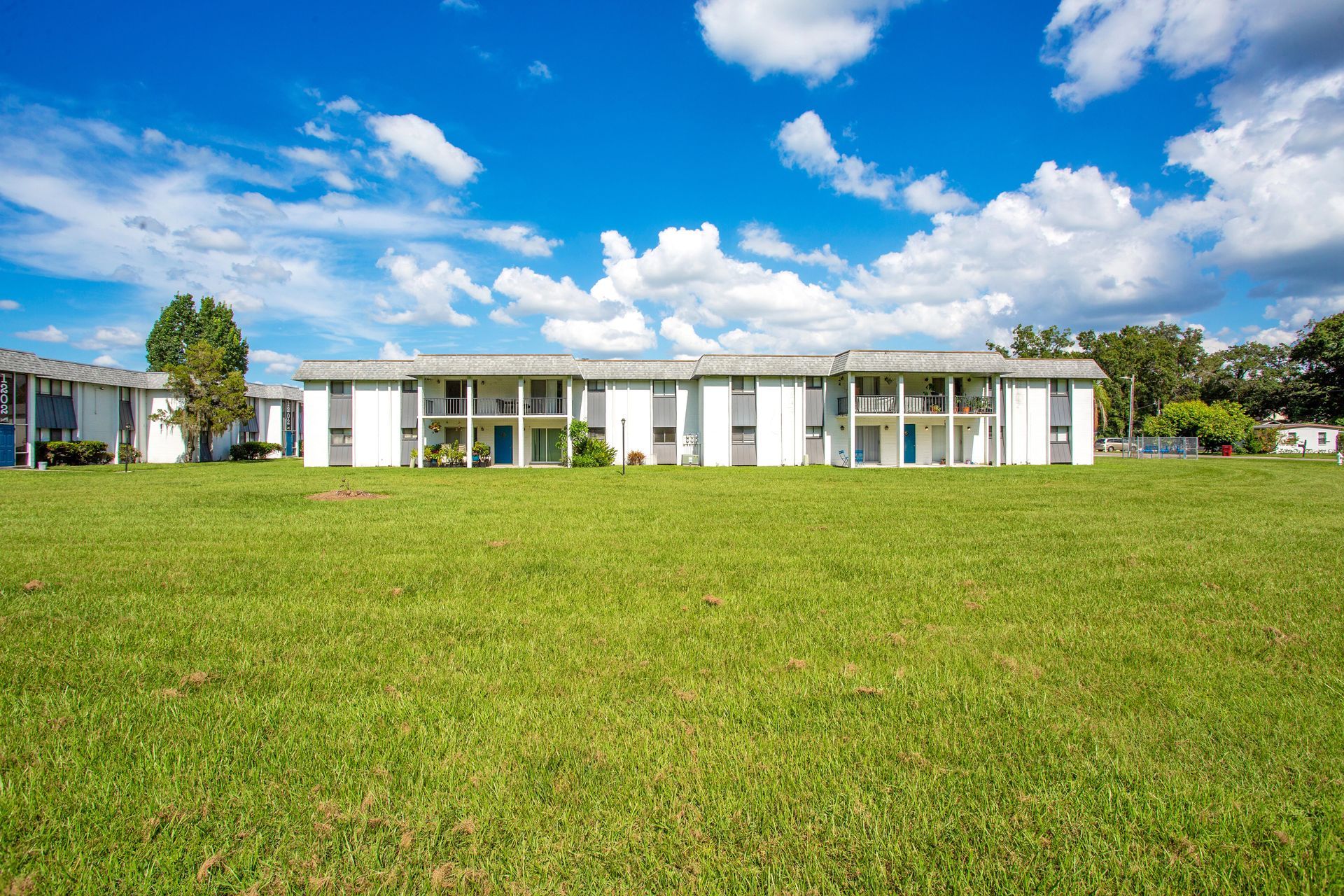 Lawn at The Henry in Plant City, FL.