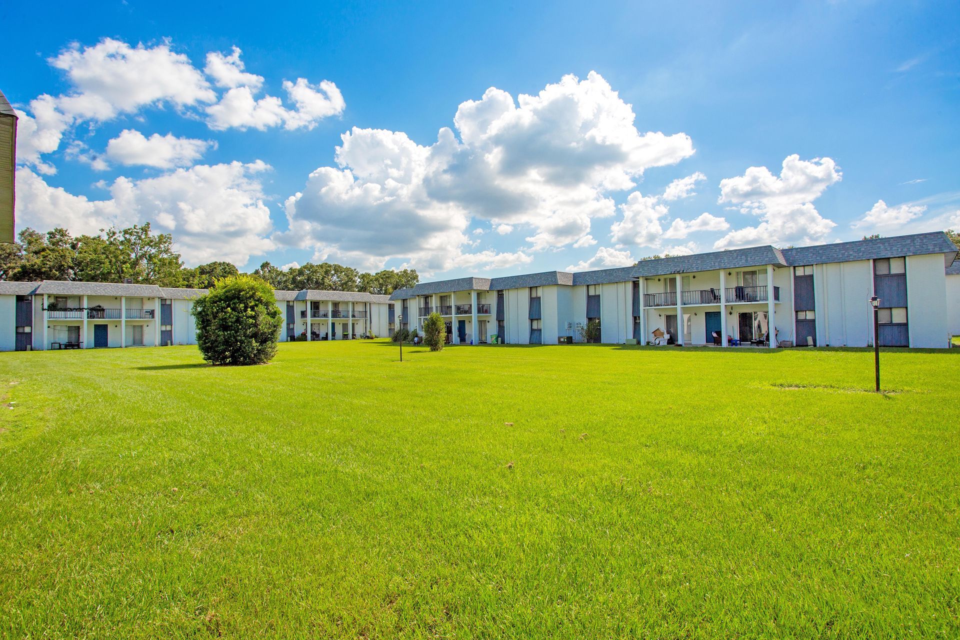 Lawn at The Henry in Plant City, FL.