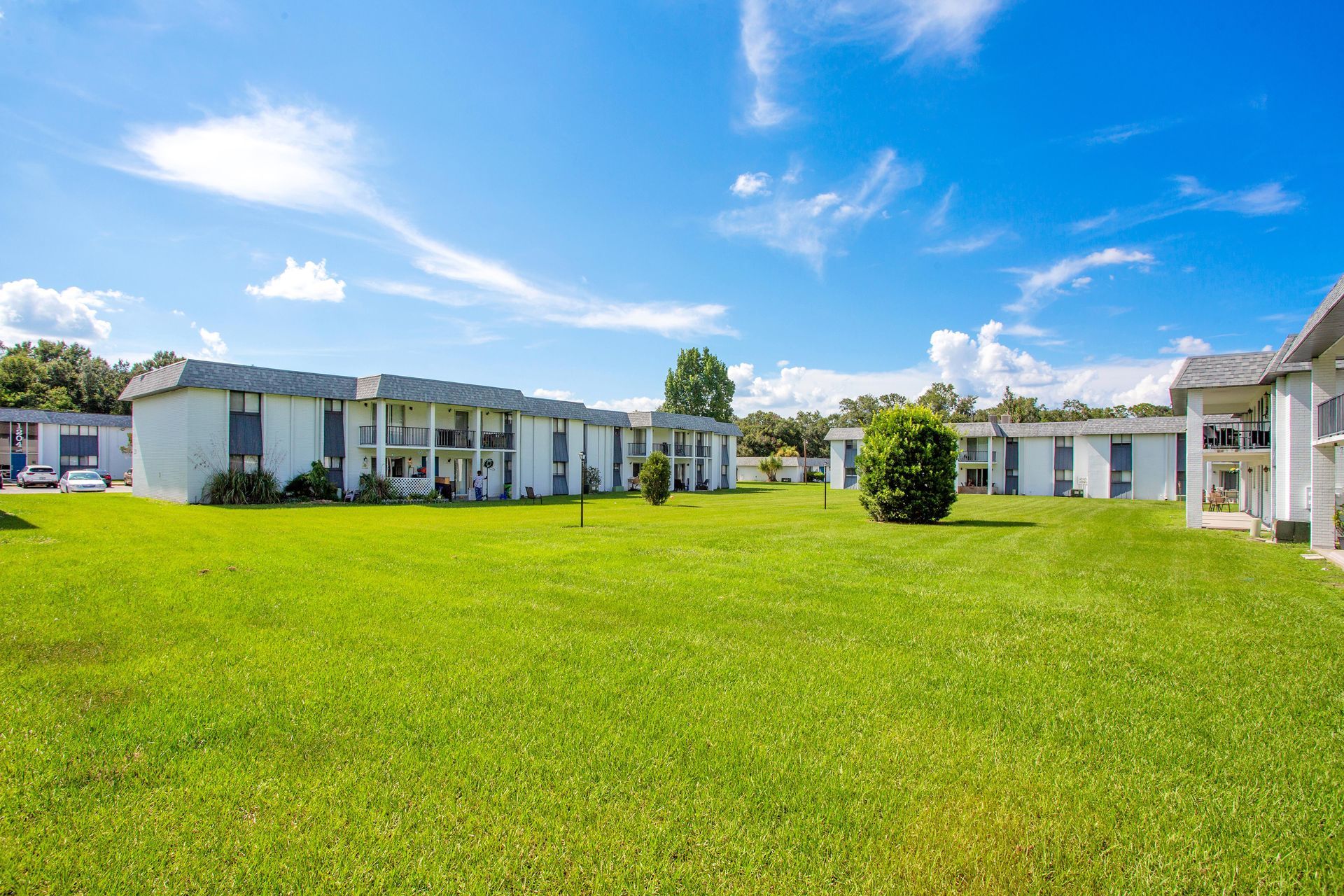 Lawn at The Henry in Plant City, FL.