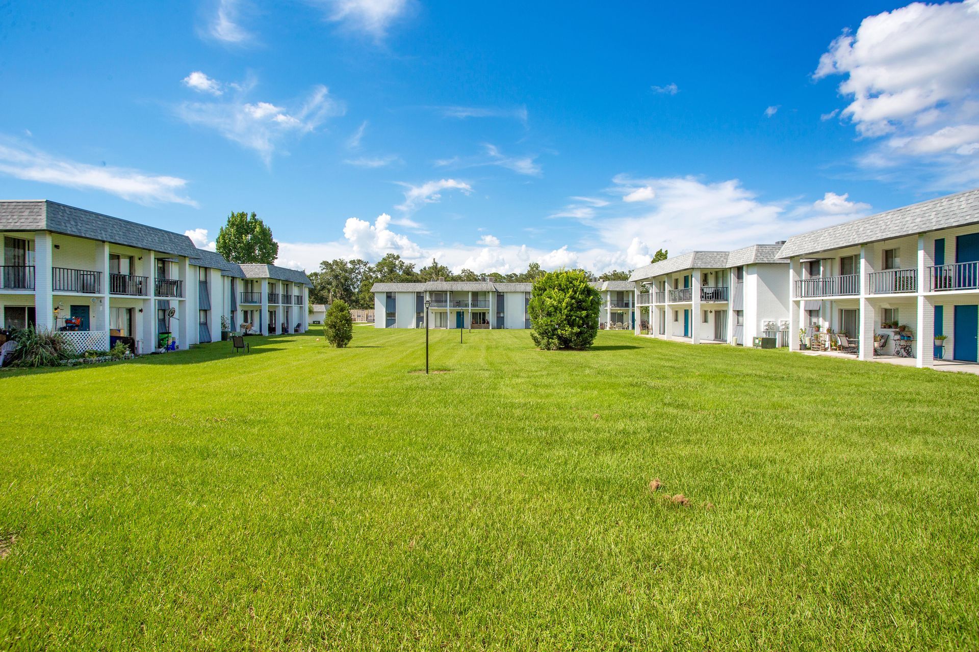 Lawn at The Henry in Plant City, FL.