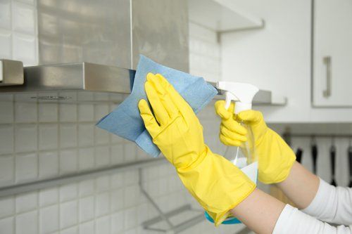 Pair of hands in yellow gloves holding a spray bottle