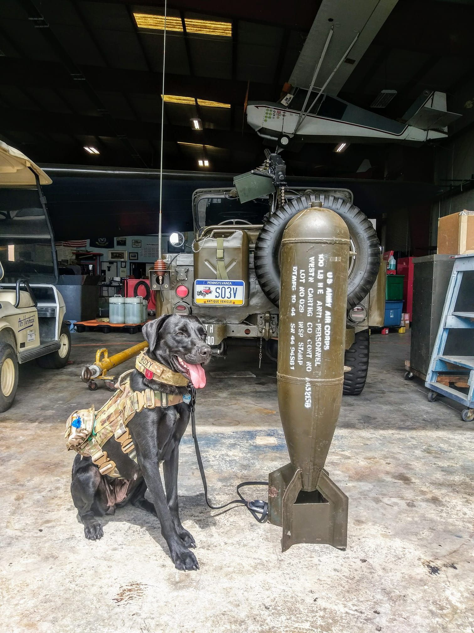 dog besides a rocket