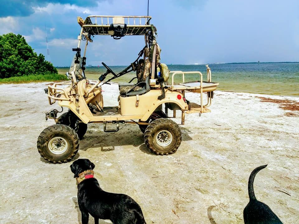 Two dogs are standing in front of a vehicle on the beach.
