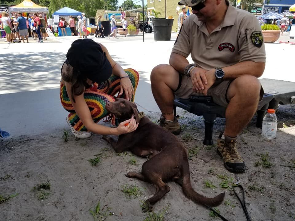 A man and a woman petting a kangaroo in the sand