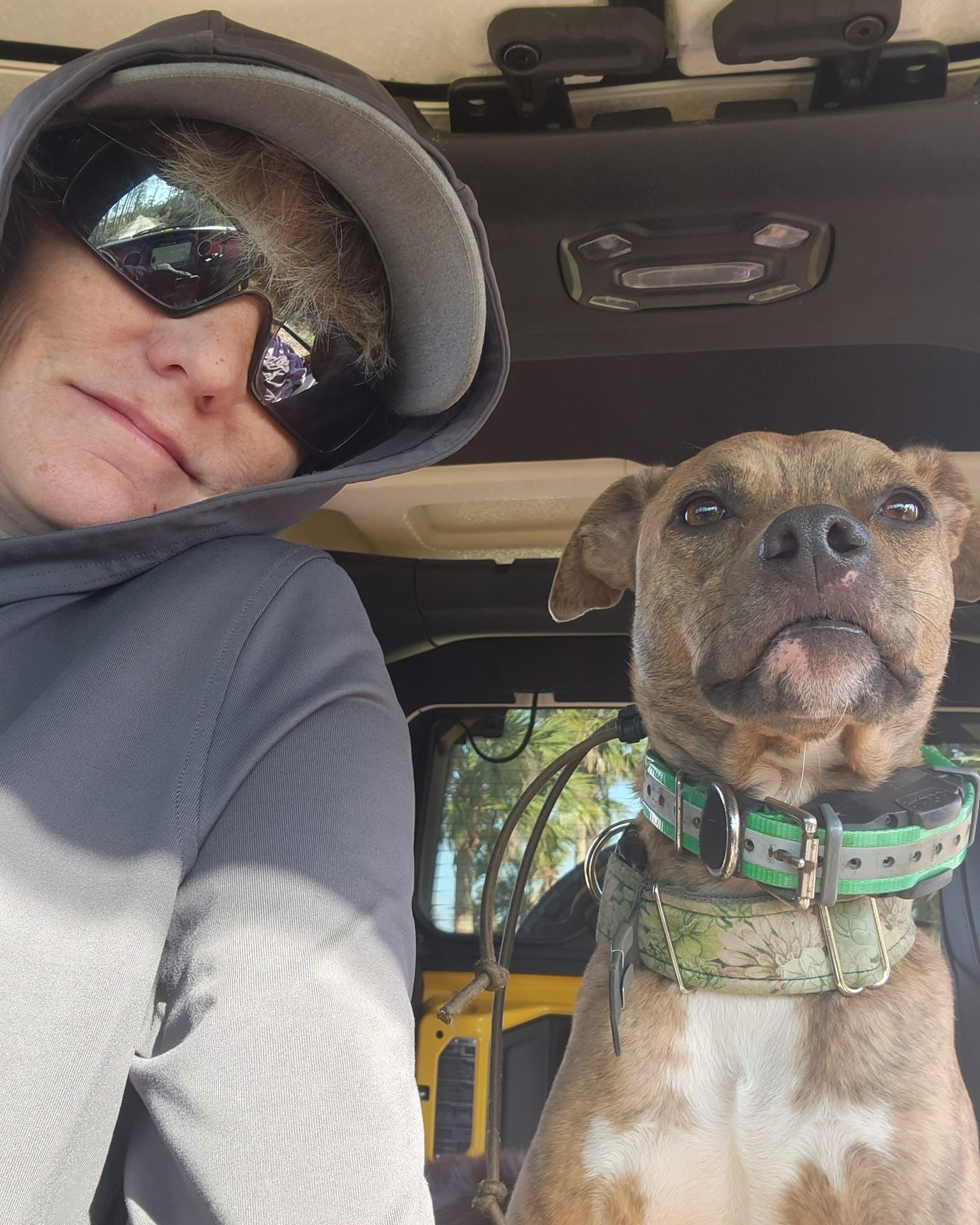A man and a dog are posing for a picture in a car