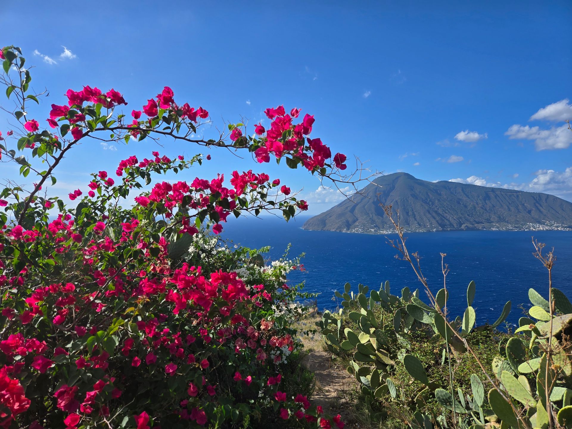 Sicily in July