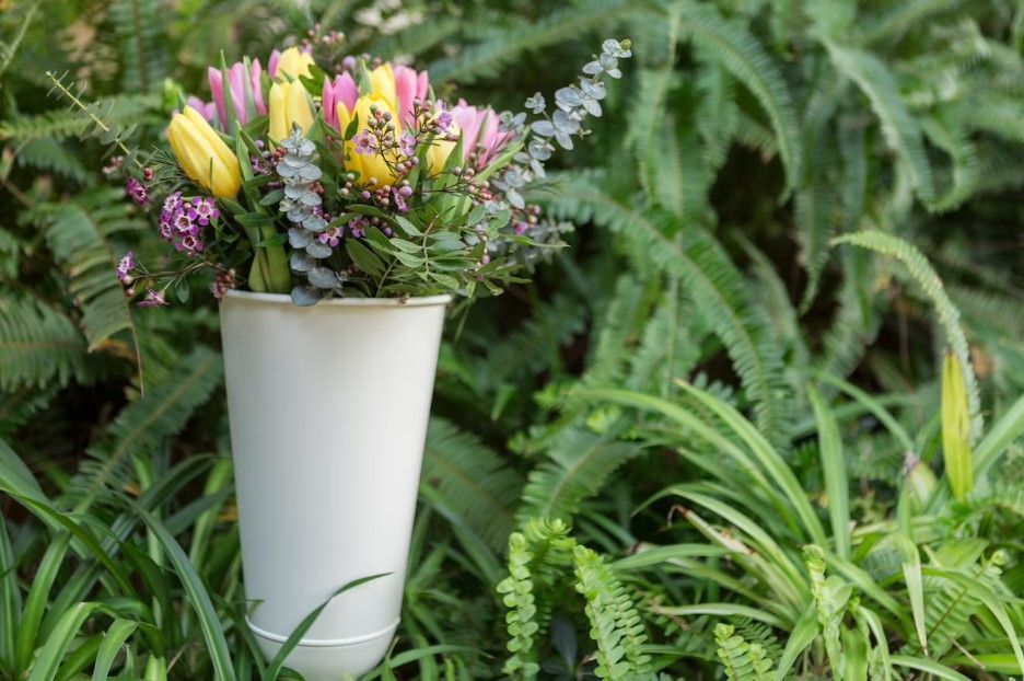 cremation services in Dolton, IL