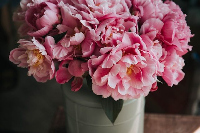 cremation services in South Holland, IL