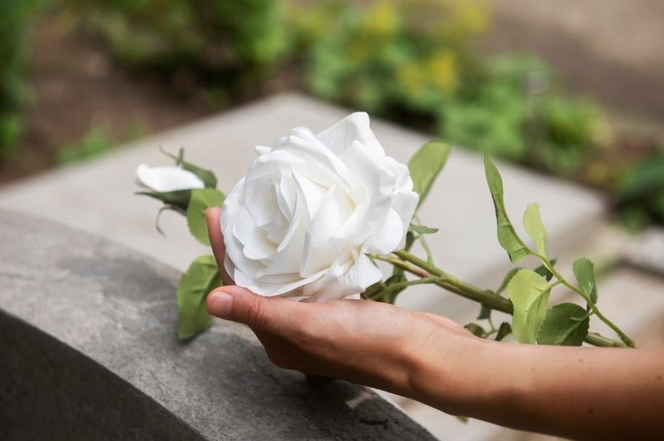 cremation services in South Holland, IL