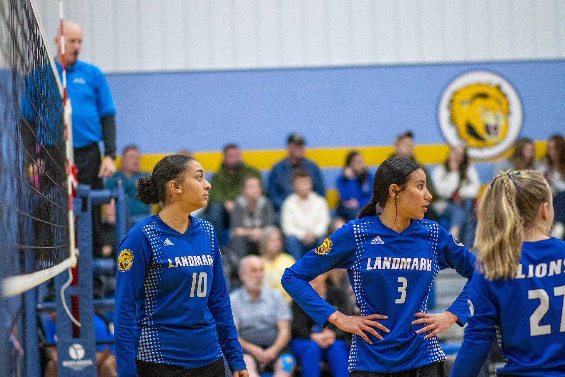 Blue-clad volleyball players huddle on court during a match, with spectators and a lion logo in the background.