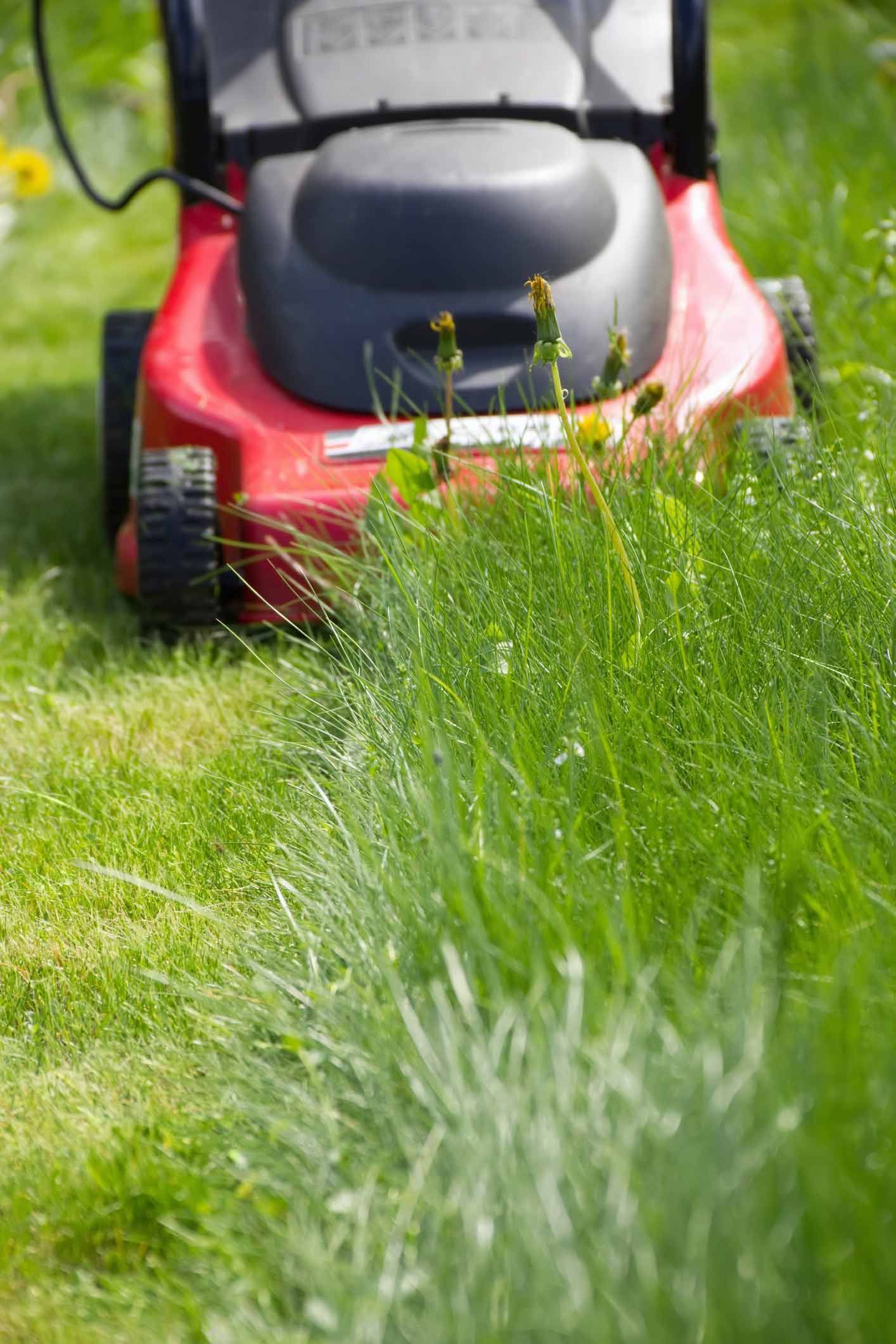 Lawncare Services For A Perfect Yard — Dayton, OH — Sharp Edge Landscaping And Lawncare LLC