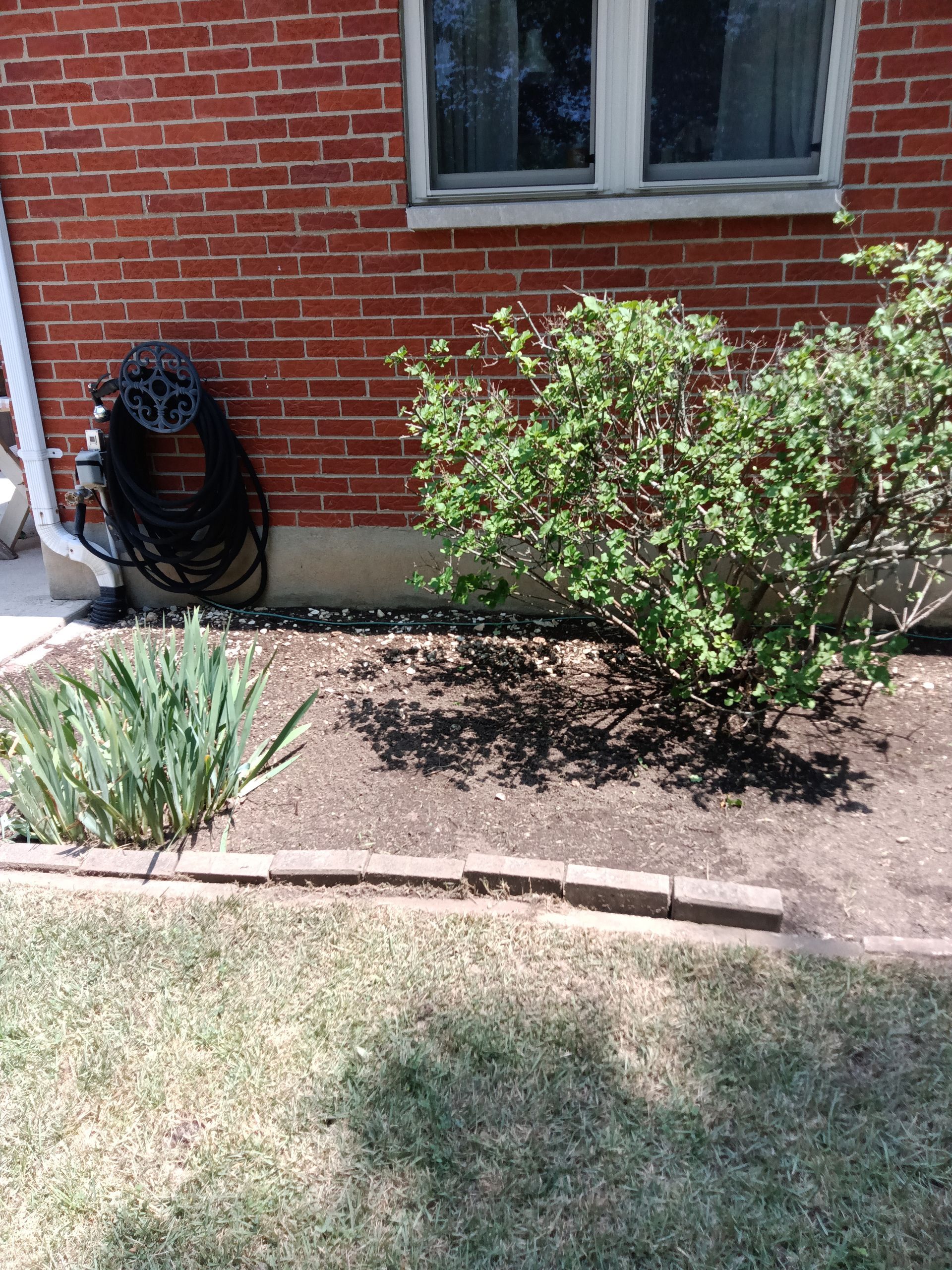 Shrub Trimming And Removal — Dayton, OH — Sharp Edge Landscaping And Lawncare LLC
