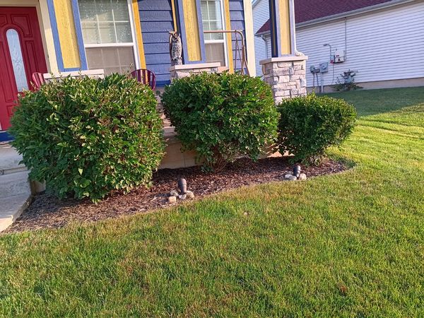 A Large Lawn With Trees In The Background And The Sun Shining Through The Trees — Dayton, OH — Sharp Edge Landscaping And Lawncare LLC