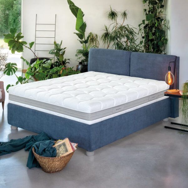 Letto imbottito blu con materasso bianco in una stanza luminosa con piante.