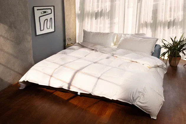 Camera da letto con biancheria bianca, luce naturale, opere d'arte e una pianta da appartamento.