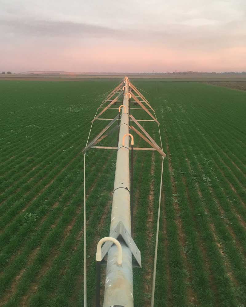 Australian farming irrigation
