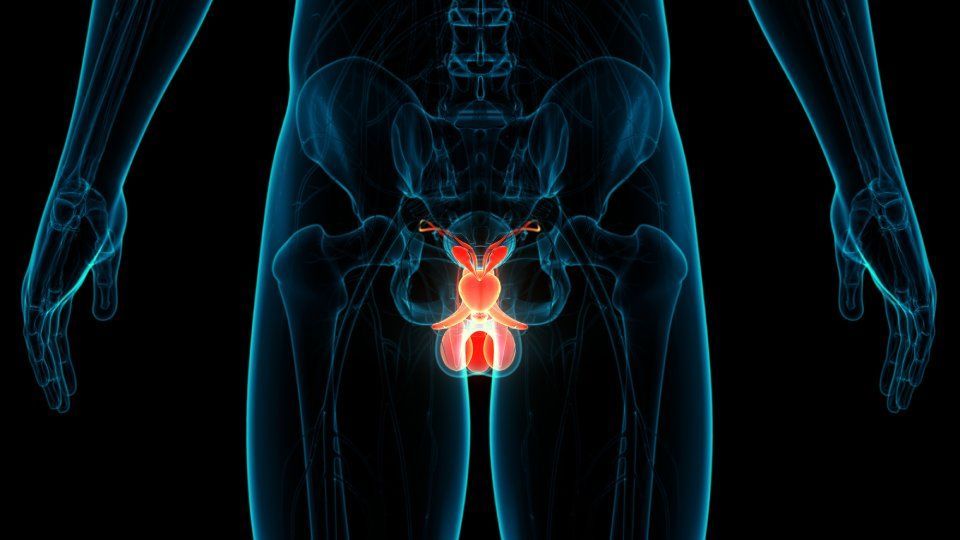 onde d'urto per disfunzione erettile