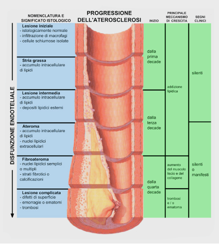 disfunzione erettile