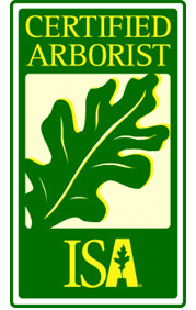 Certified Arborist - Tree Services in Lebanon, MO