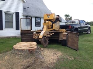 Stump Grinding - Tree Services in Lebanon, MO