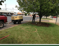 Root Problems - Tree Services in Lebanon, MO