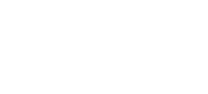Staffing & Skills Inc Logo