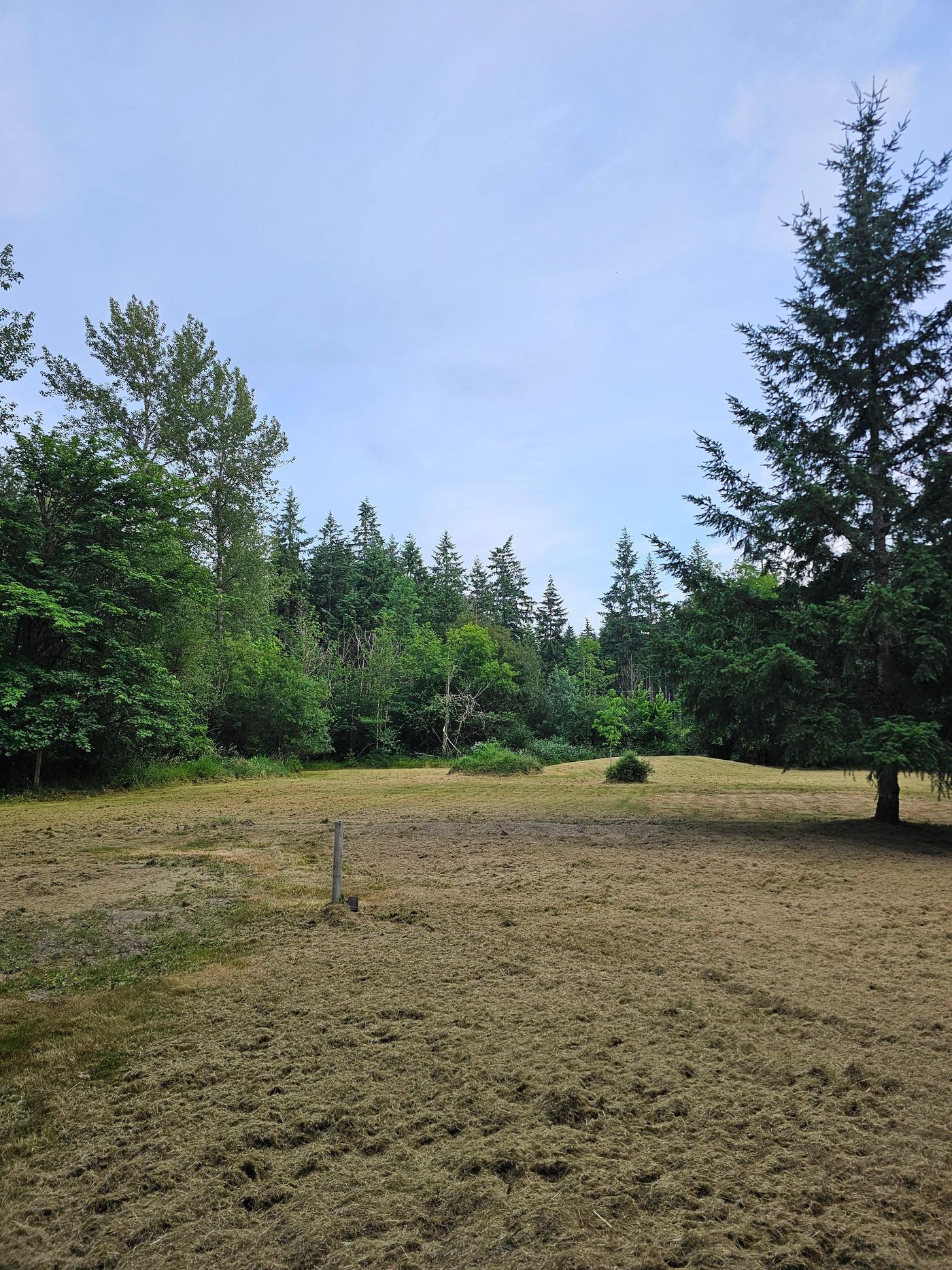 A dry, brown field leading to a treeline of green trees under a blue sky.
