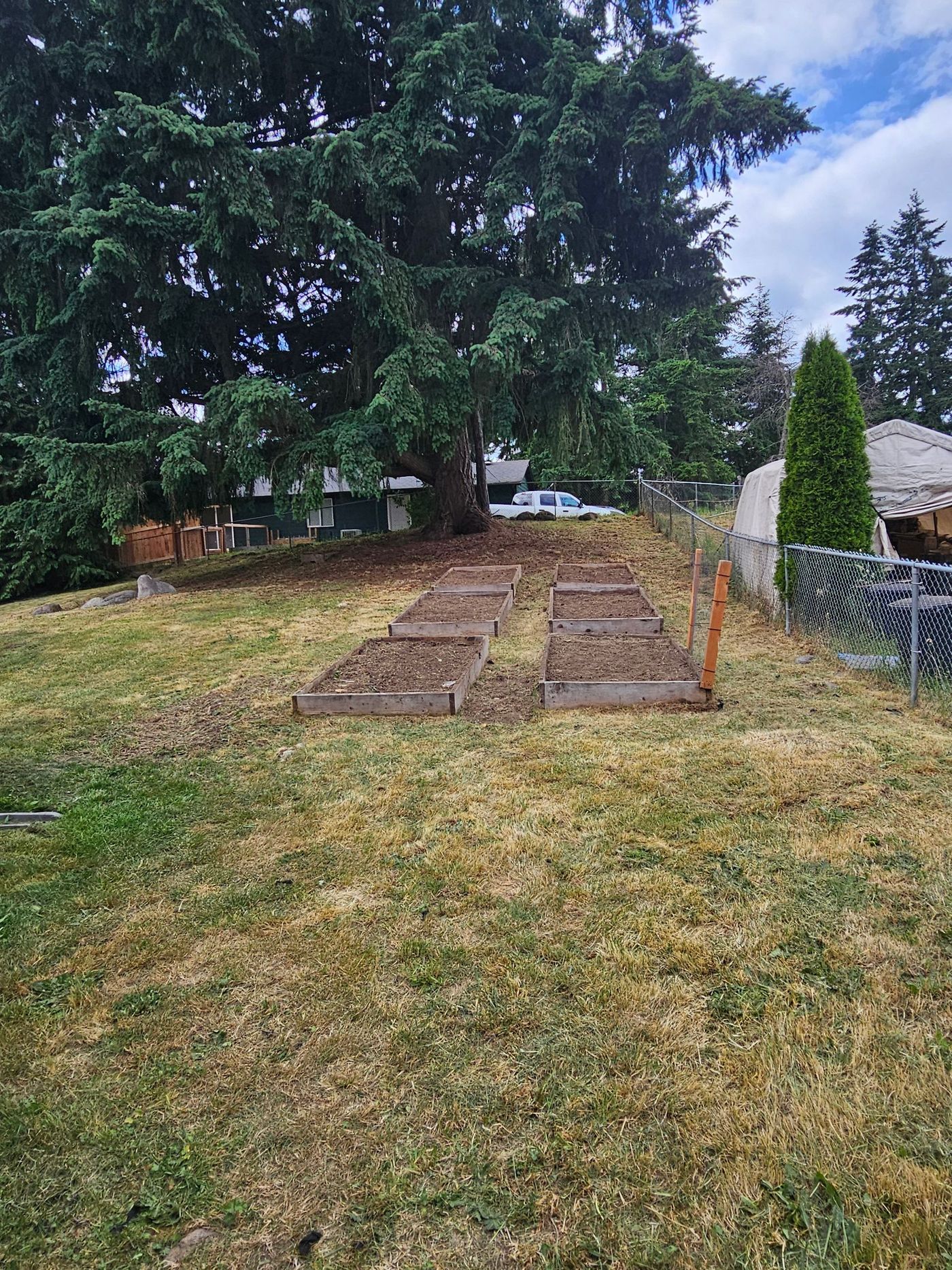 A backyard with four raised garden beds, a grassy area, and trees under a cloudy sky.