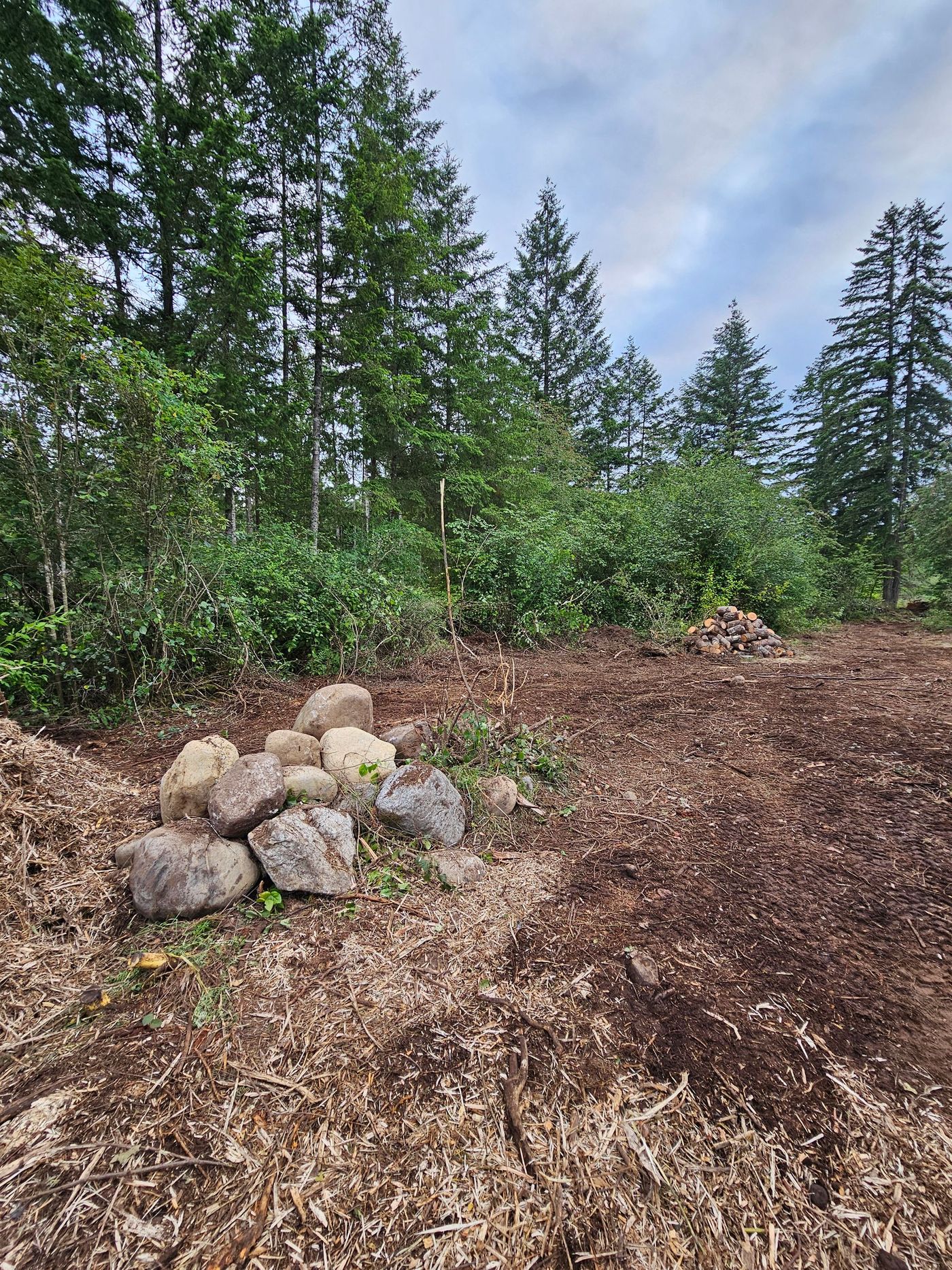 A pile of rocks on a wood-chipped area next to a forest with tall trees under a cloudy sky.