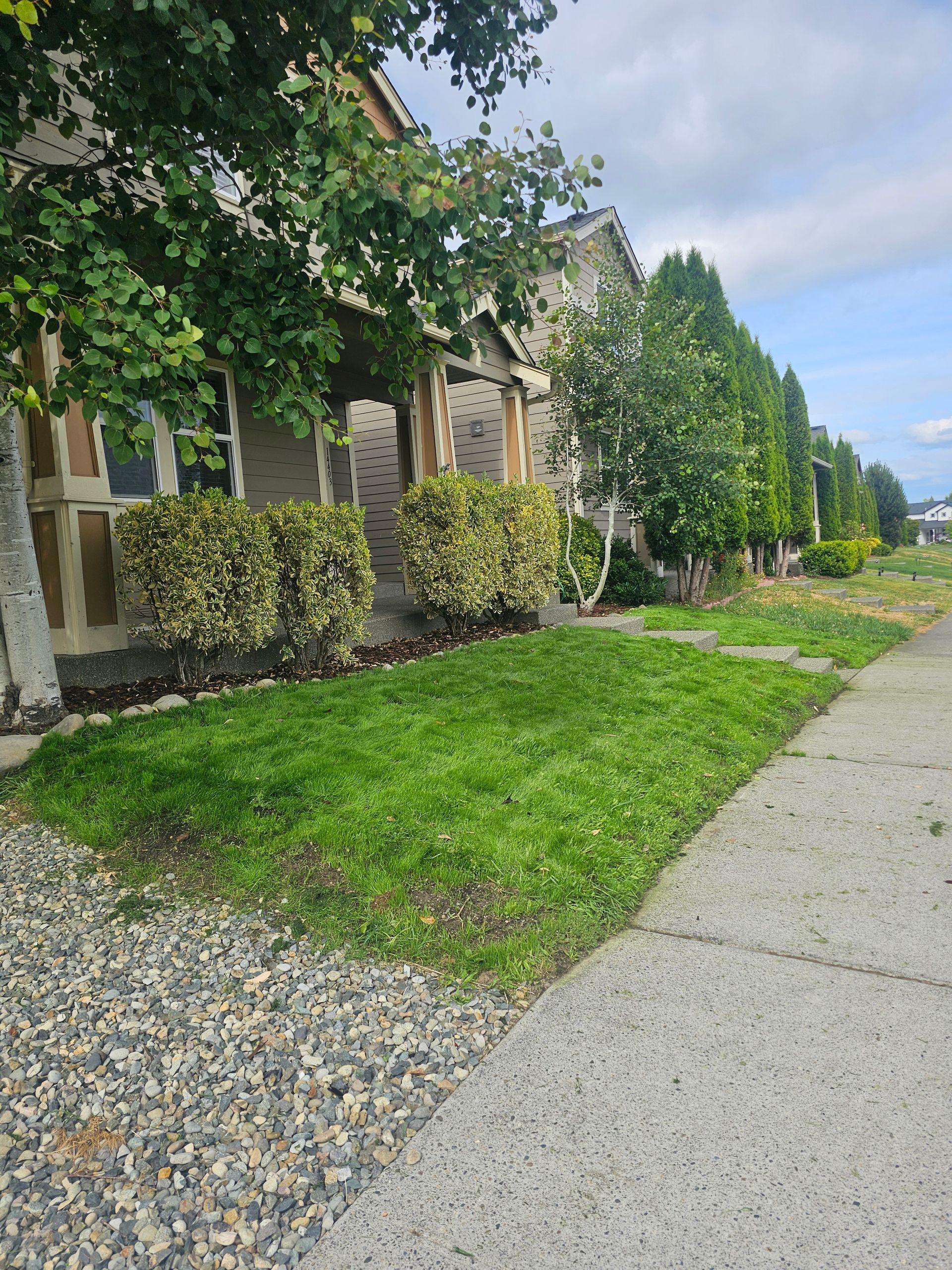 Row of houses with boarded-up windows, green bushes, and a sidewalk along a grassy area and gravel.