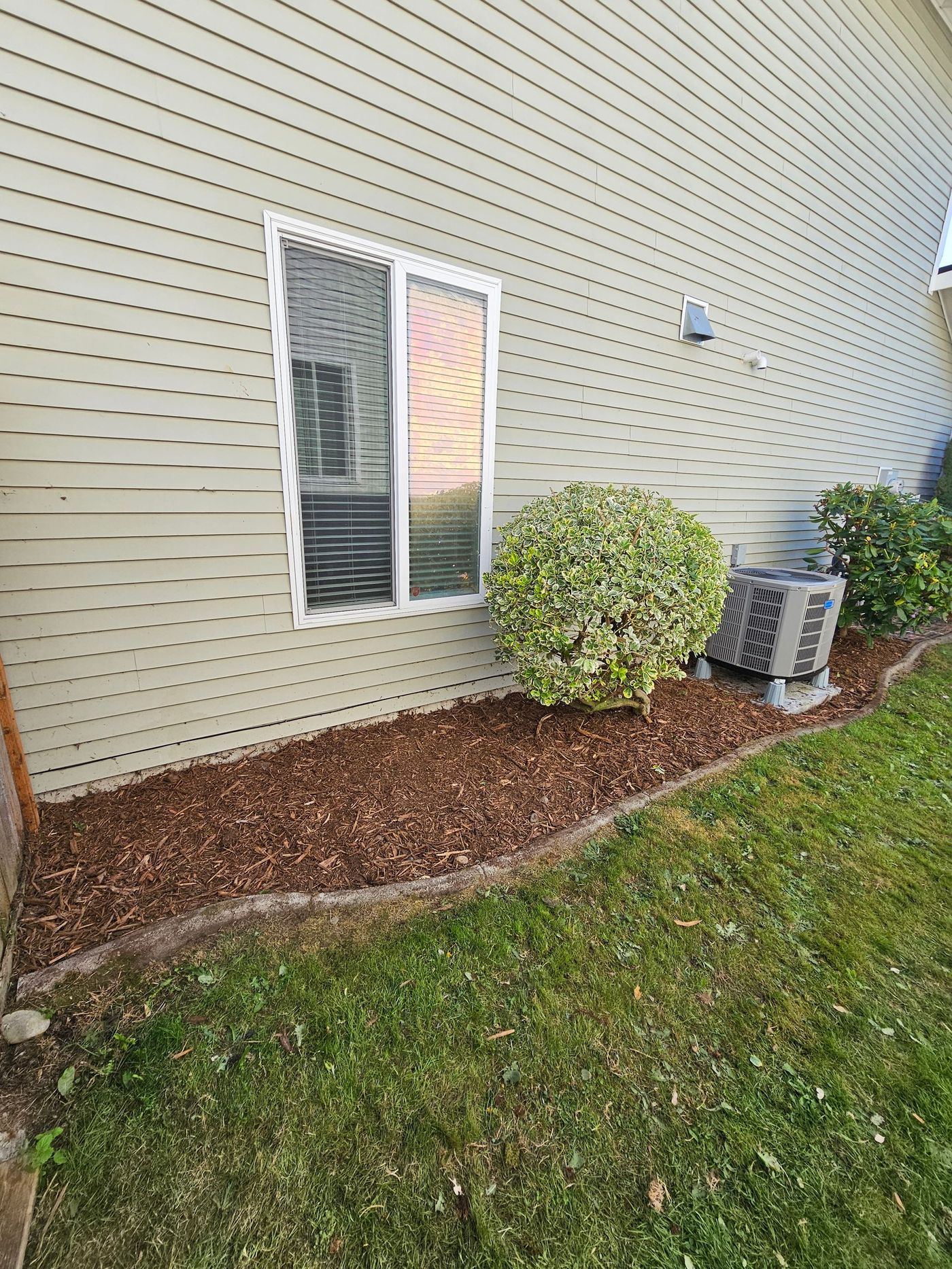 Exterior of a house with a window, shrubbery, and mulch bed bordered by a lawn.