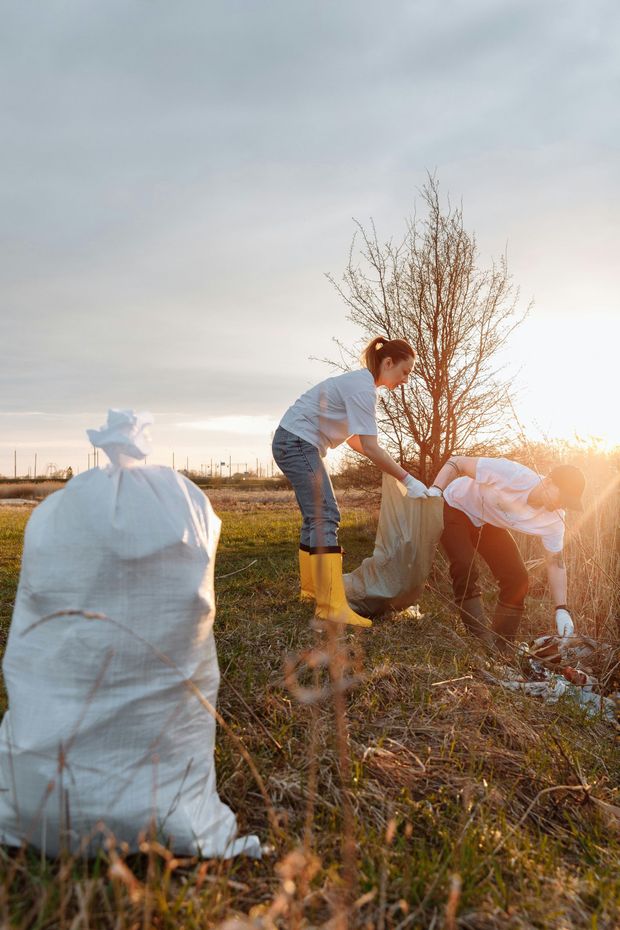 Two people picking up trash in a field, with a full white bag. The sun is setting.
