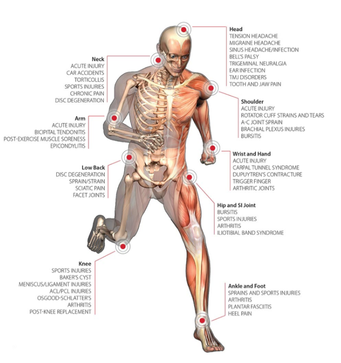 a diagram of a man 's skeleton , muscles , and joints .