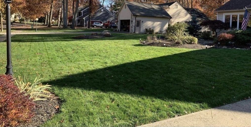 A lawn green and lush