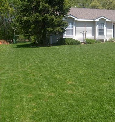 a lawn that is lush and green