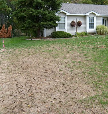 A lawn that is barren and dry
